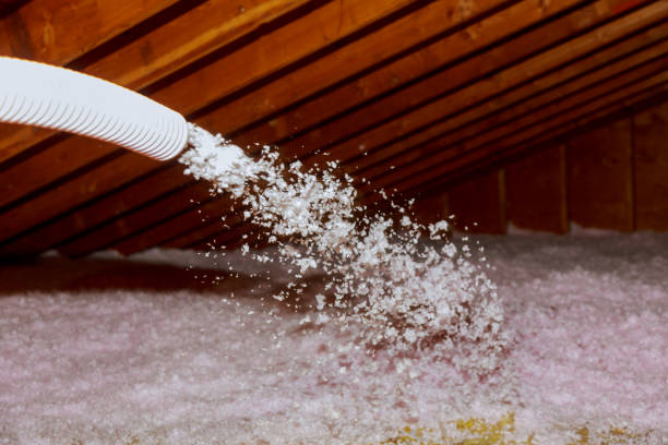 Best Best Insulation Companies  in Belleville, PA