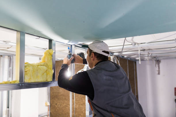 Best Attic Insulation Installation  in Belleville, PA
