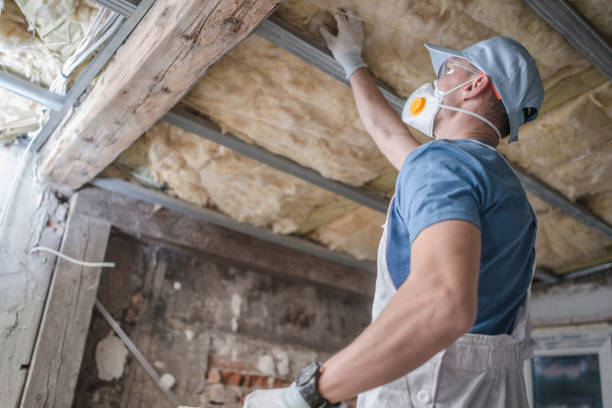 Best Insulation Removal Services  in Belleville, PA
